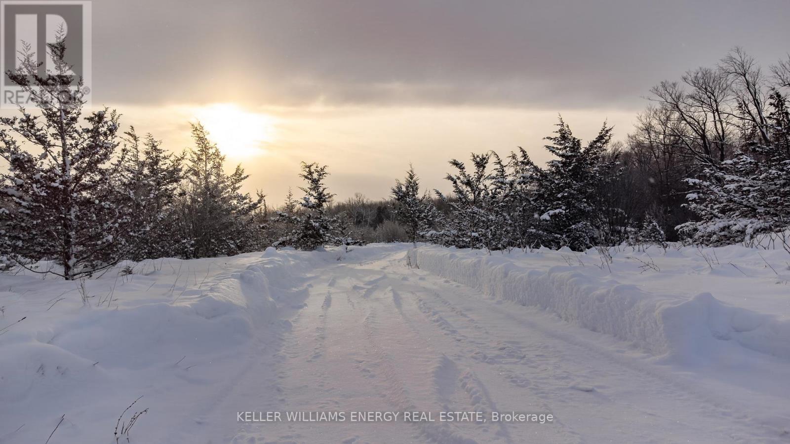 122 Ivy Ridge Road, Prince Edward County, Ontario  K0K 1T0 - Photo 22 - X12752110