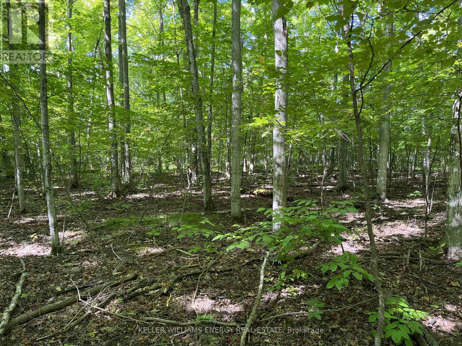 122 Ivy Ridge Road, Prince Edward County, Ontario  K0K 1T0 - Photo 23 - X12752110