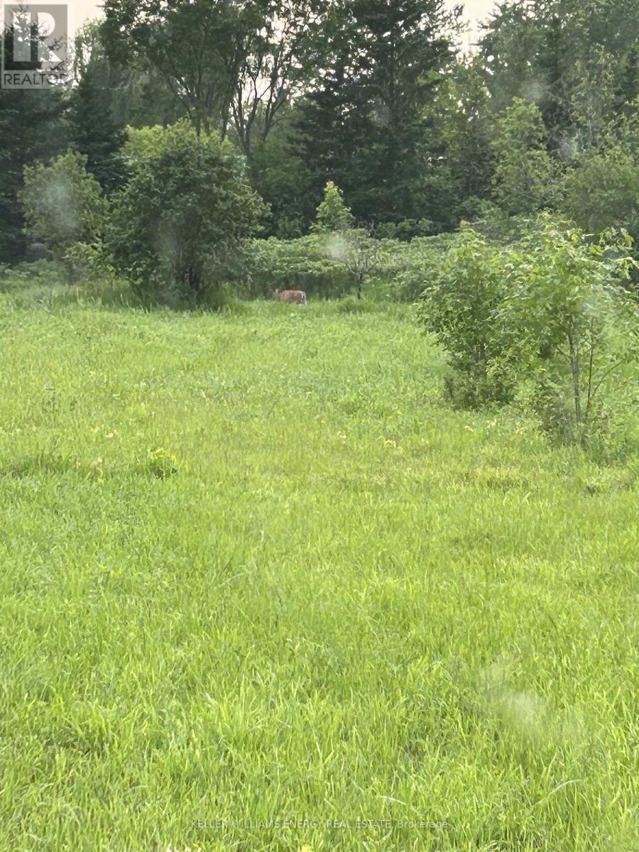 122 Ivy Ridge Road, Prince Edward County, Ontario  K0K 1T0 - Photo 26 - X12752110