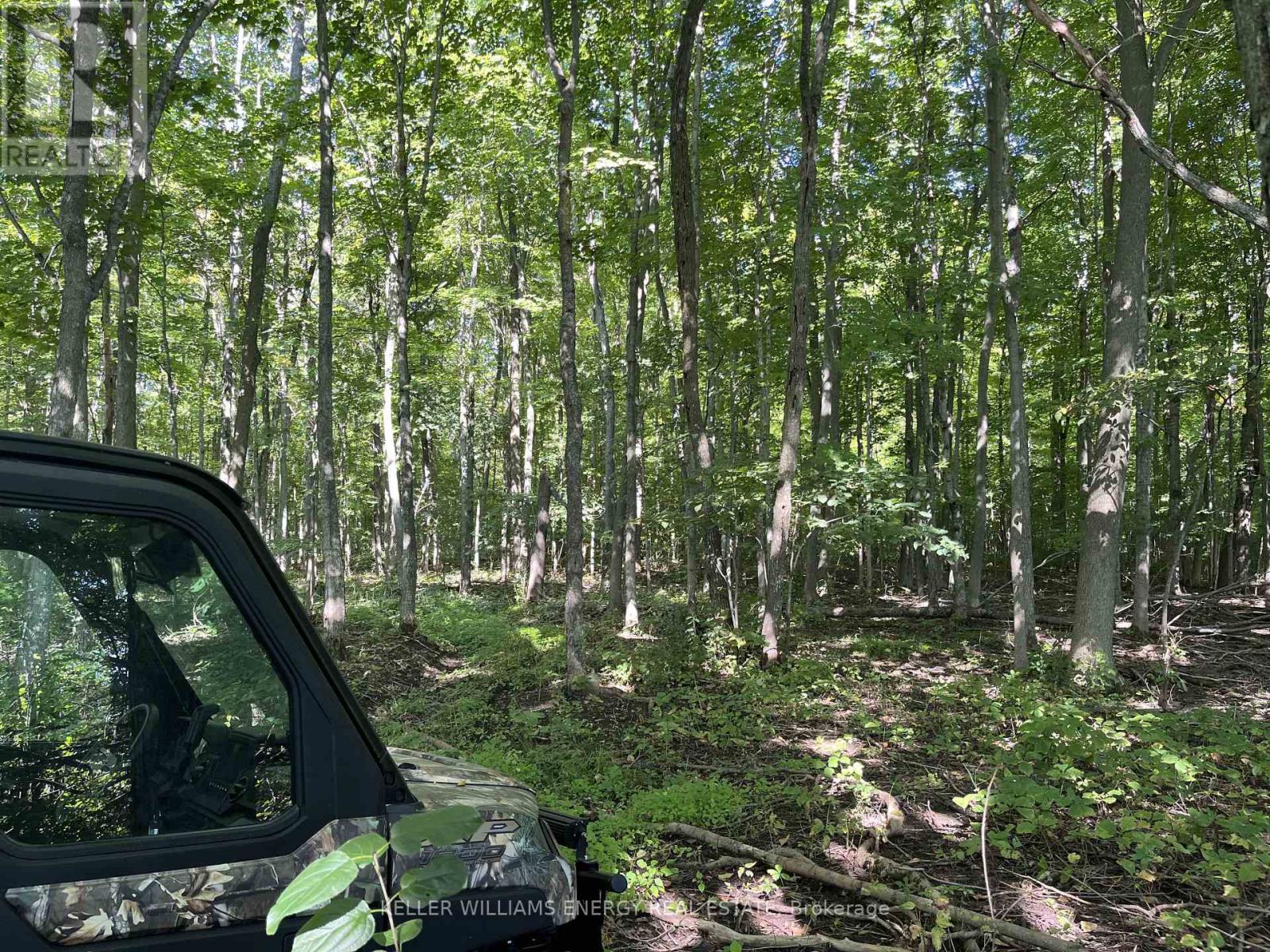 122 Ivy Ridge Road, Prince Edward County, Ontario  K0K 1T0 - Photo 27 - X12752110