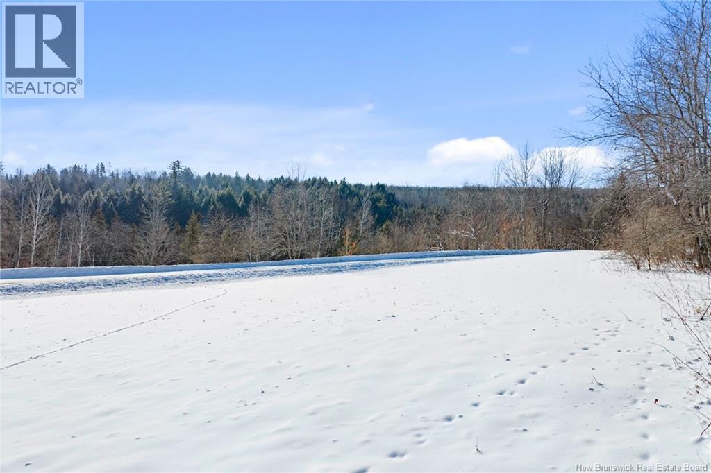 115 Morrison Rd, Rossville, New Brunswick  E6G 2N4 - Photo 45 - NB133000