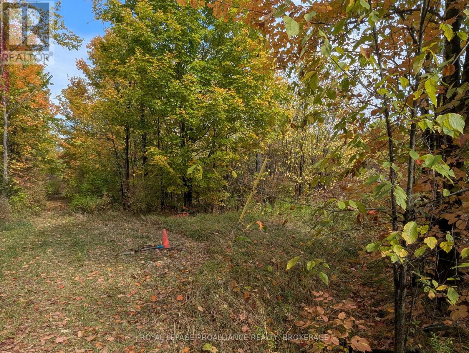 Lot 34 Leo Lake Road, Kingston (City North Of 401), Ontario  K0H 2N0 - Photo 13 - X12752286