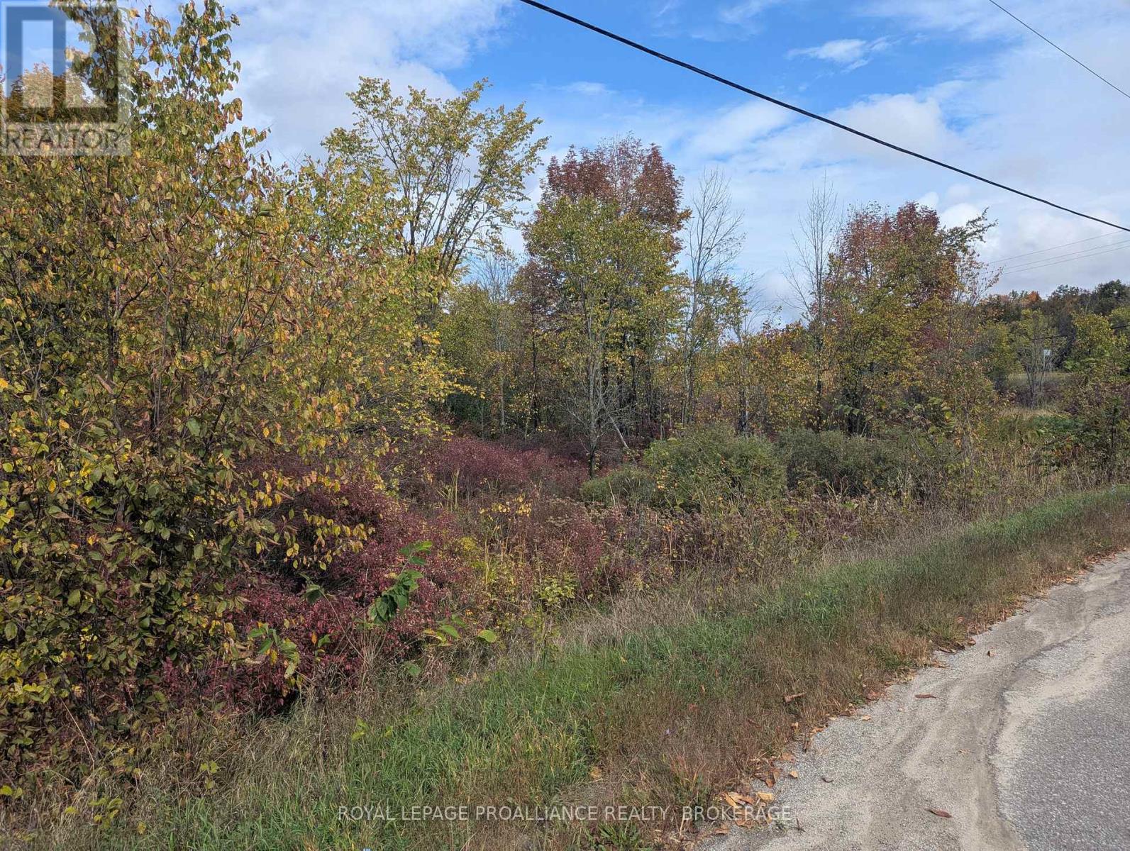 Lot 34 Leo Lake Road, Kingston (City North Of 401), Ontario  K0H 2N0 - Photo 16 - X12752286