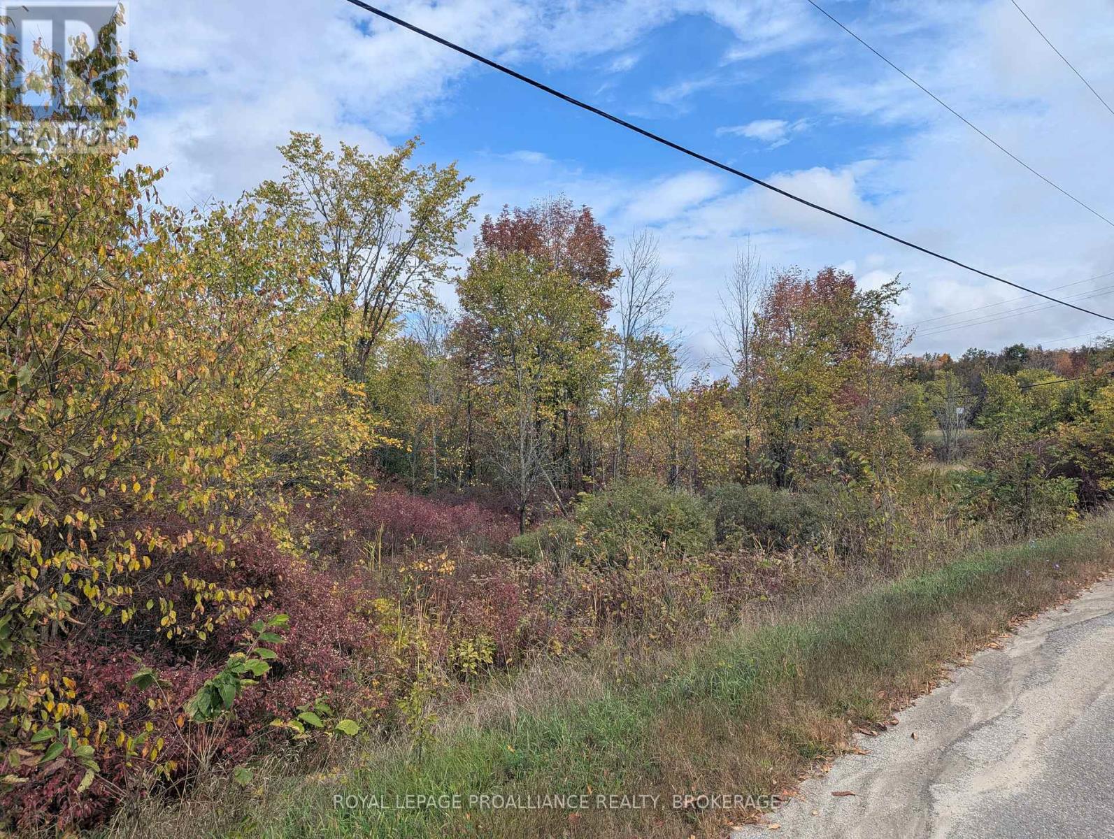 Lot 34 Leo Lake Road, Kingston (City North Of 401), Ontario  K0H 2N0 - Photo 20 - X12752286