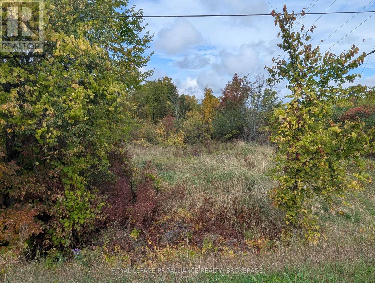 Lot 34 Leo Lake Road, Kingston (City North Of 401), Ontario  K0H 2N0 - Photo 9 - X12752286