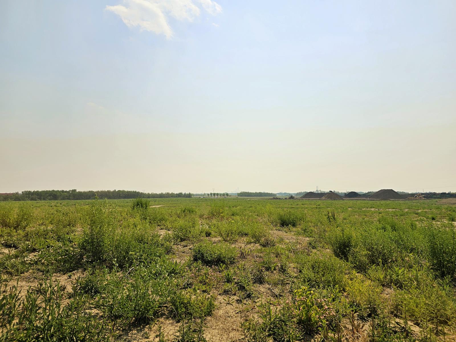 16003  Campbell Road Nw, Edmonton, Alberta  T6V 1H8 - Photo 2 - 43689191