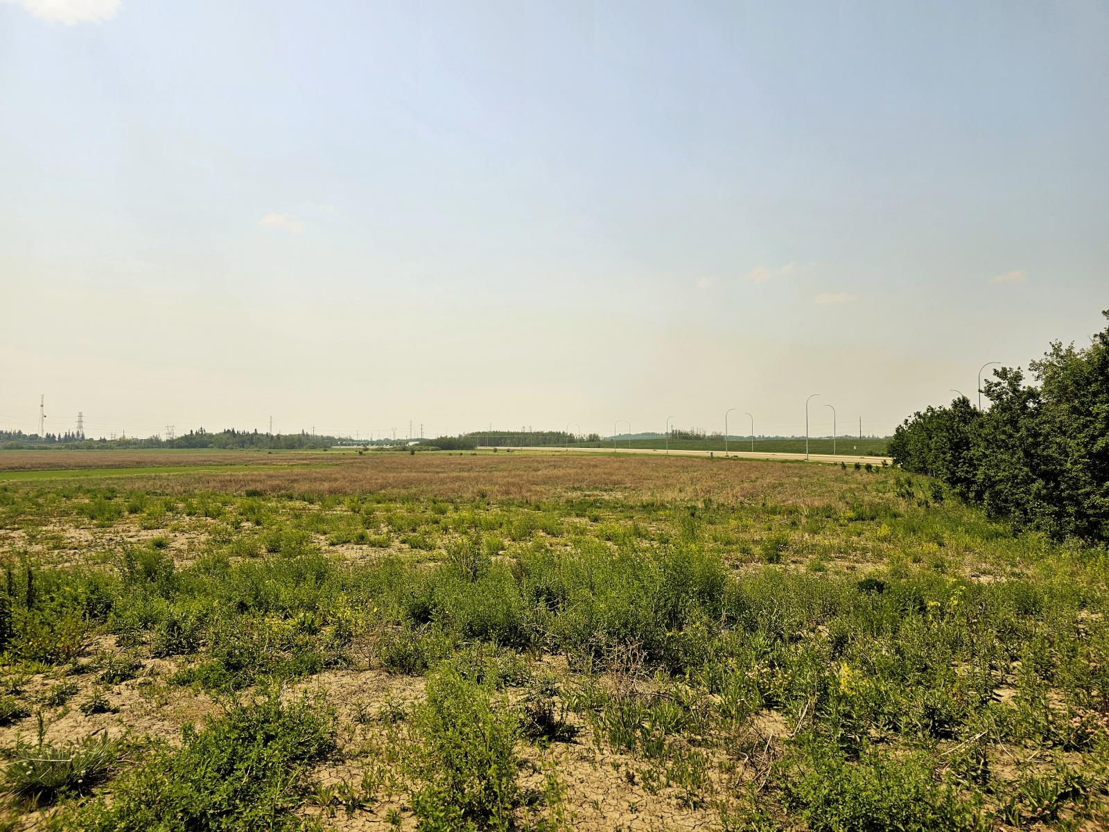 16003  Campbell Road Nw, Edmonton, Alberta  T6V 1H8 - Photo 3 - 43689191