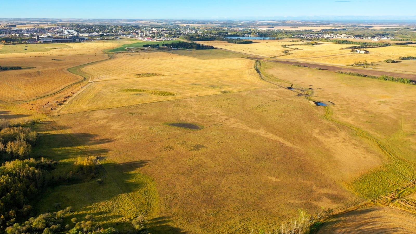 6360  C & E Trail, Innisfail, Alberta  T4G 0G9 - Photo 12 - 43690088