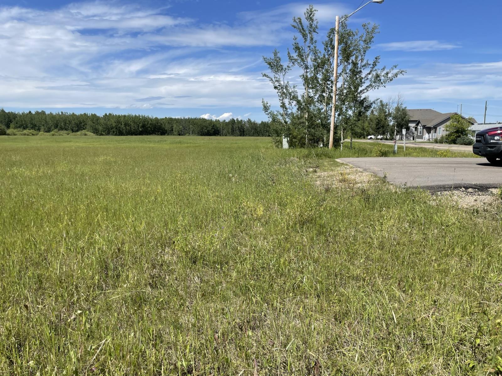 5002  50 Street, Brazeau County, Alberta  T0E 1Z0 - Photo 10 - 43689834
