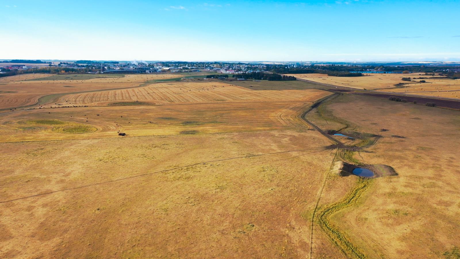 6360  C & E Trail, Innisfail, Alberta  T4G 0G9 - Photo 8 - 43690088