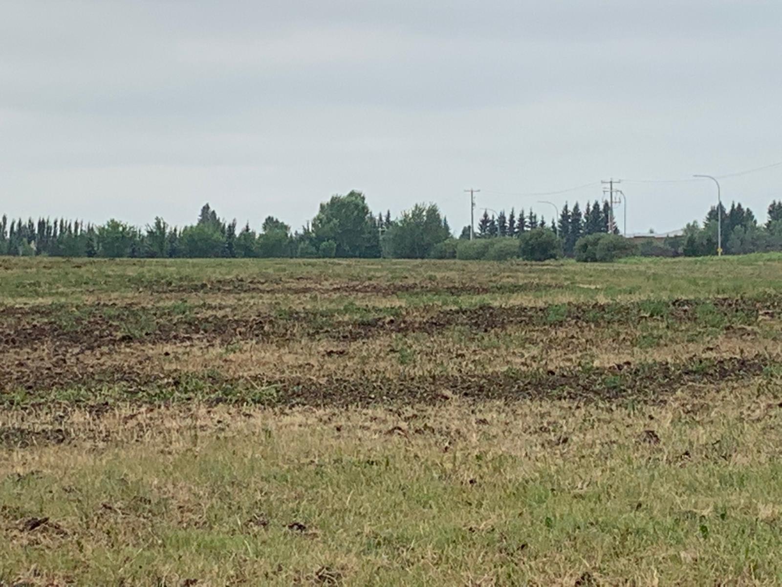 27525  79 Avenue, Stony Plain, Alberta  T7Z 1R3 - Photo 4 - 43690325