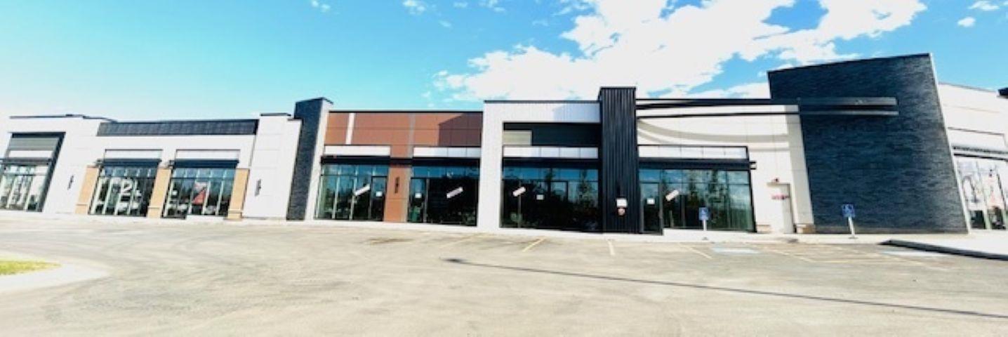 1139  103a Street Sw, Edmonton, Alberta  T6W 2P6 - Photo 7 - 43690837