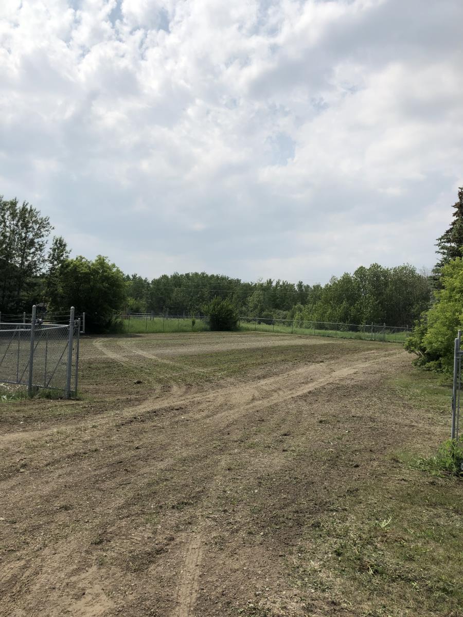 3610  50 Street, Cold Lake, Alberta  T9M 1S6 - Photo 6 - 43887649