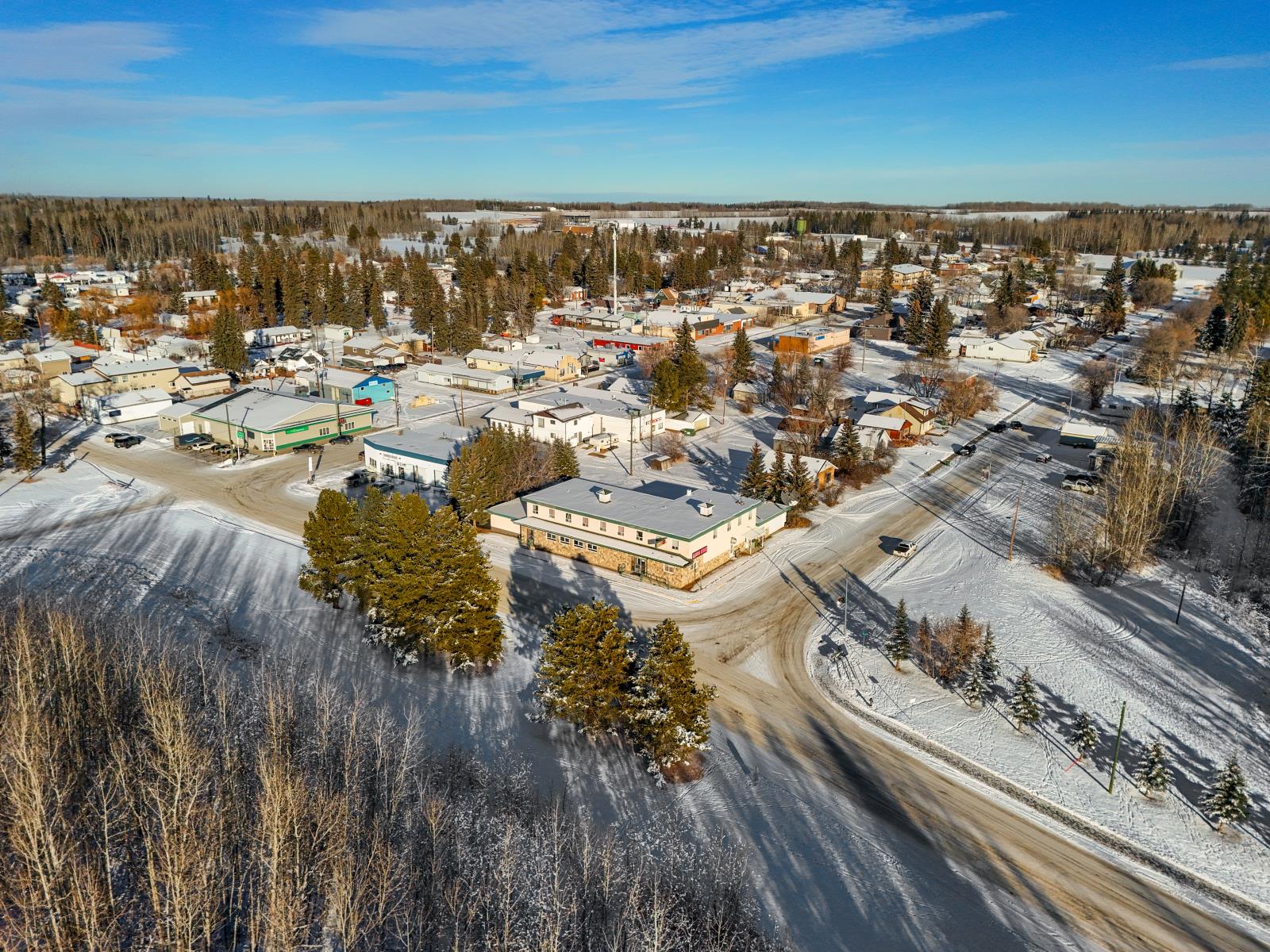 4907  51 St, Breton, Alberta  T0C 0P0 - Photo 6 - 43939683