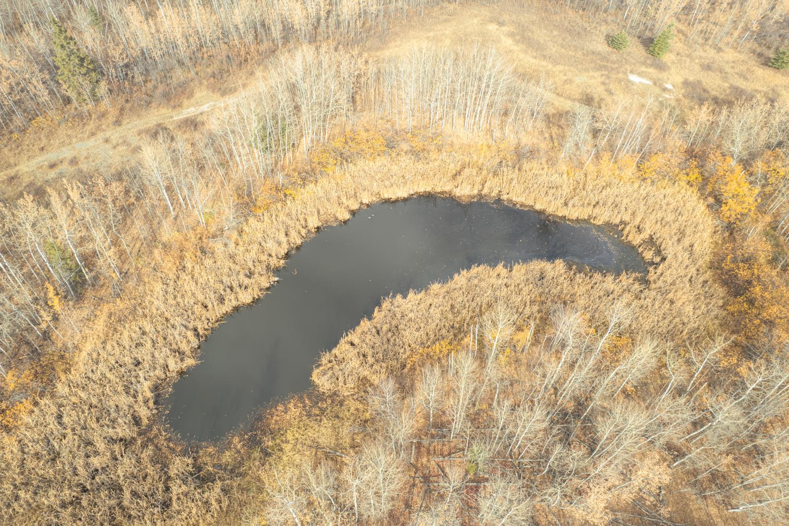 56309  Rge Rd 13, Lac Ste. Anne County, Alberta  T8R 0H2 - Photo 35 - 44009823