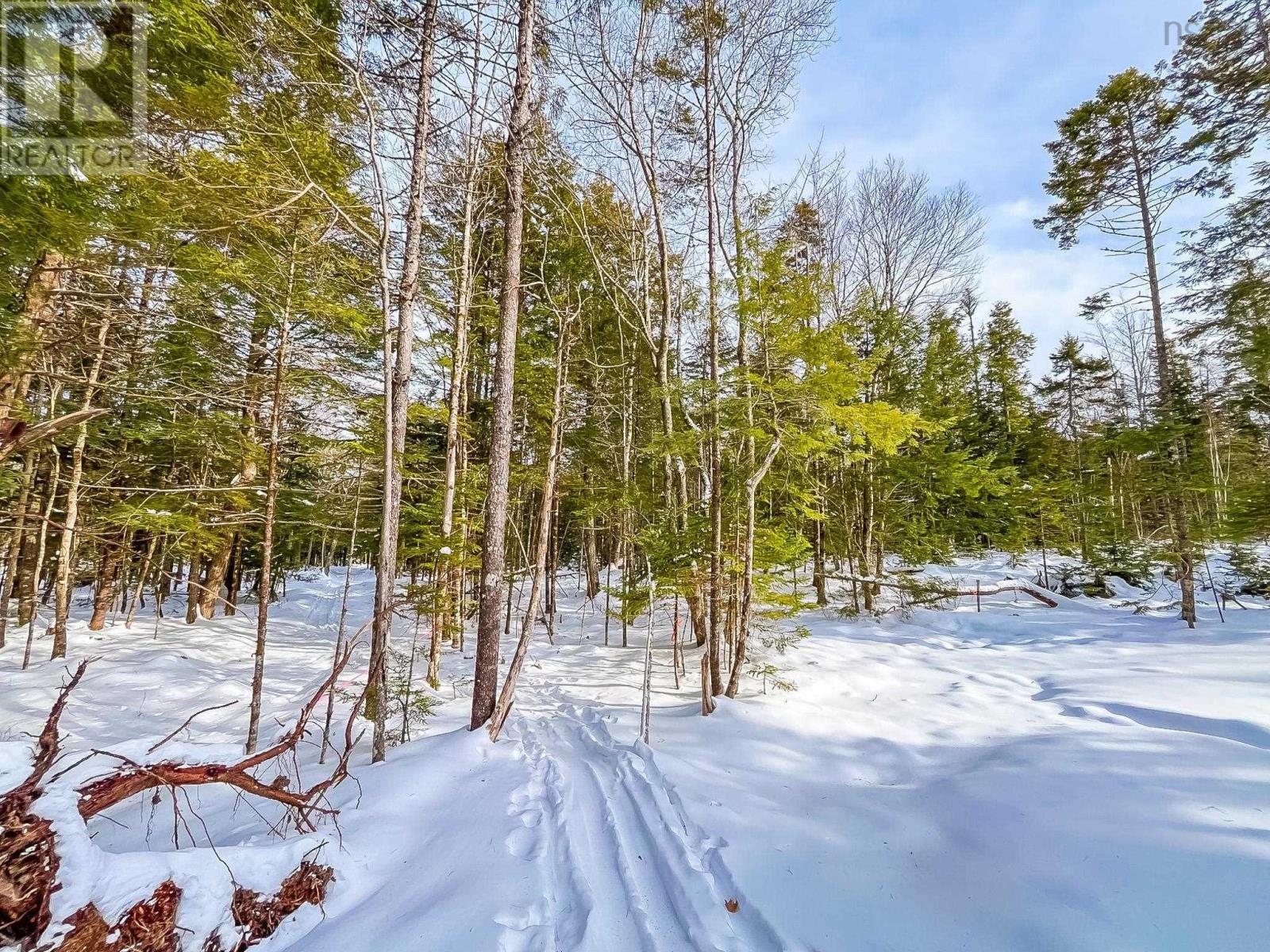 Lot 9 Conquerall Road, Conquerall Bank, Nova Scotia  B0R 1G0 - Photo 6 - 202601986