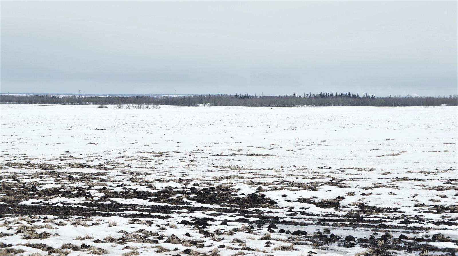 R.rd 222, Sturgeon County, Alberta  T0A 1N1 - Photo 14 - 44142537