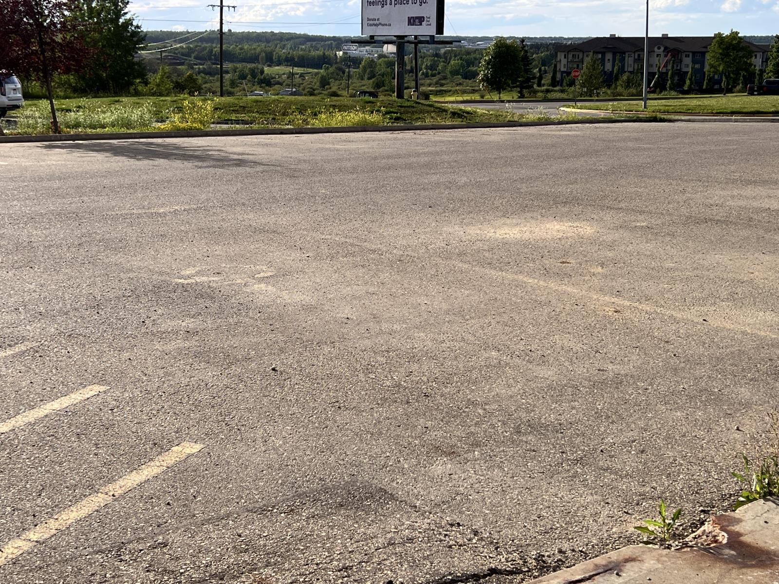 3421  50th St, Drayton Valley, Alberta  T7A 1S3 - Photo 14 - 44142208