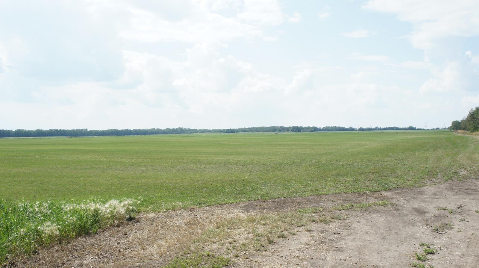 R.rd 222, Sturgeon County, Alberta  T0A 1N1 - Photo 27 - 44142537