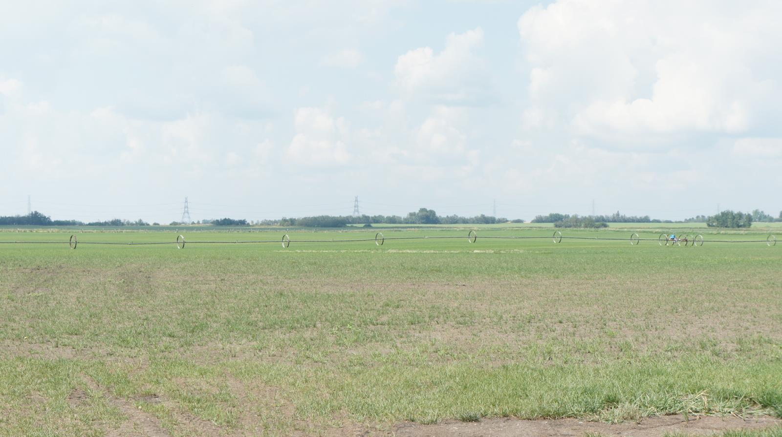 R Road 223, Sturgeon County, Alberta  T0A 1N1 - Photo 18 - 44142474