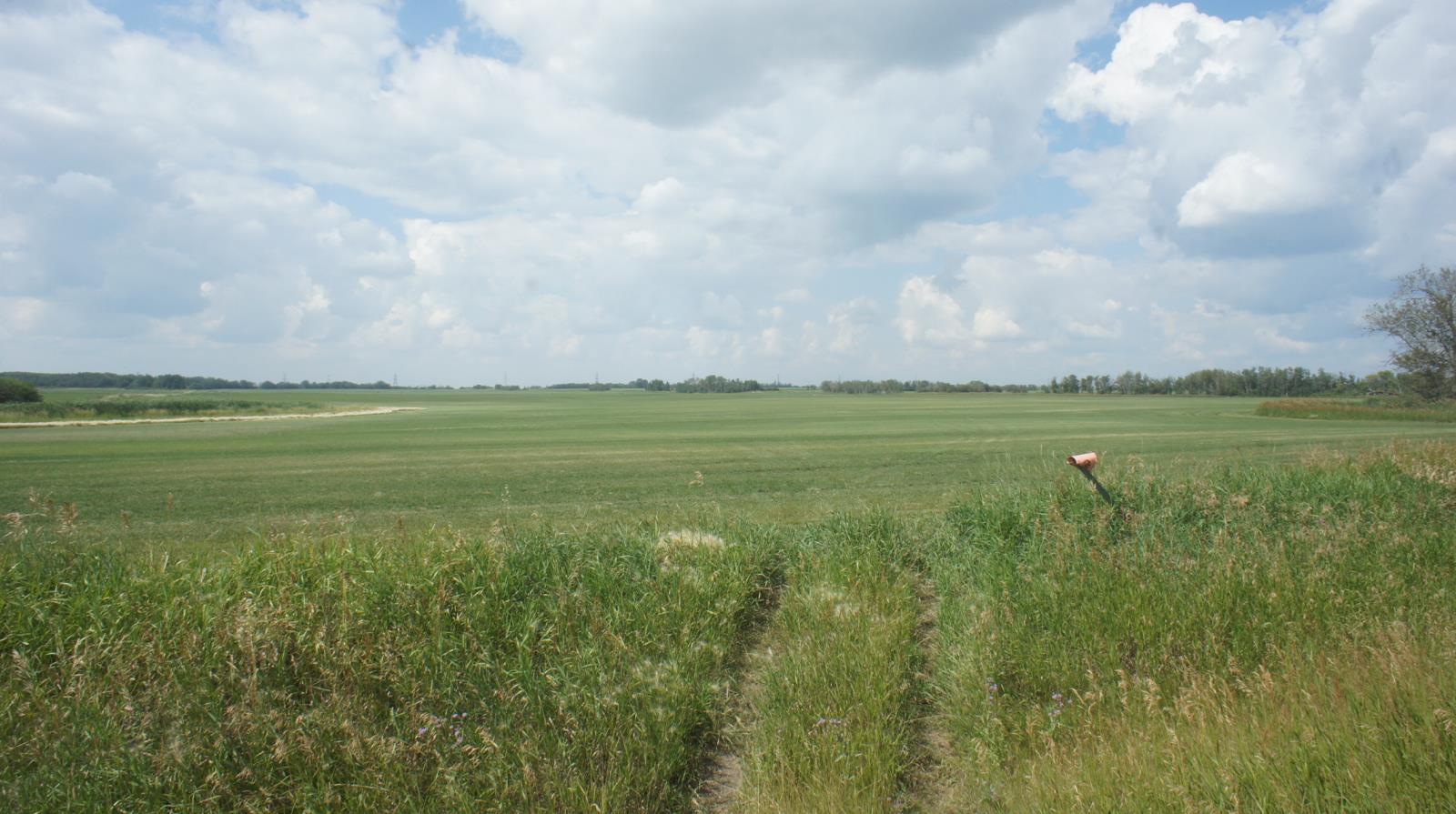 R.rd 222, Sturgeon County, Alberta  T0A 1N1 - Photo 18 - 44142537