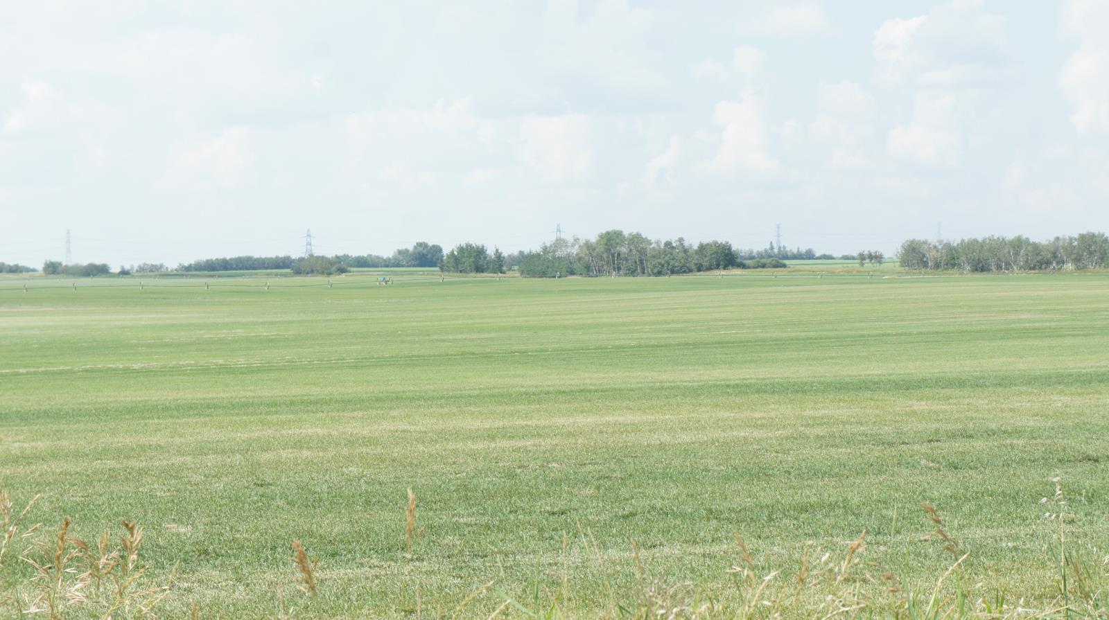 R Road 223, Sturgeon County, Alberta  T0A 1N1 - Photo 15 - 44142474