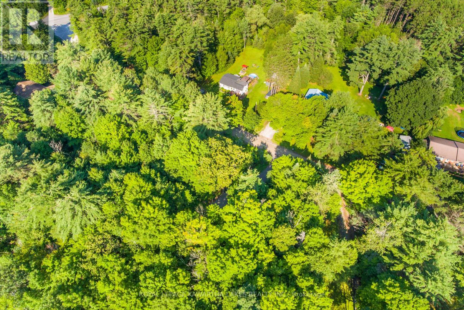 Lt 33 Benson Boulevard, Kawartha Lakes (Laxton/digby/longford), Ontario  K0M 1K0 - Photo 10 - X12752624