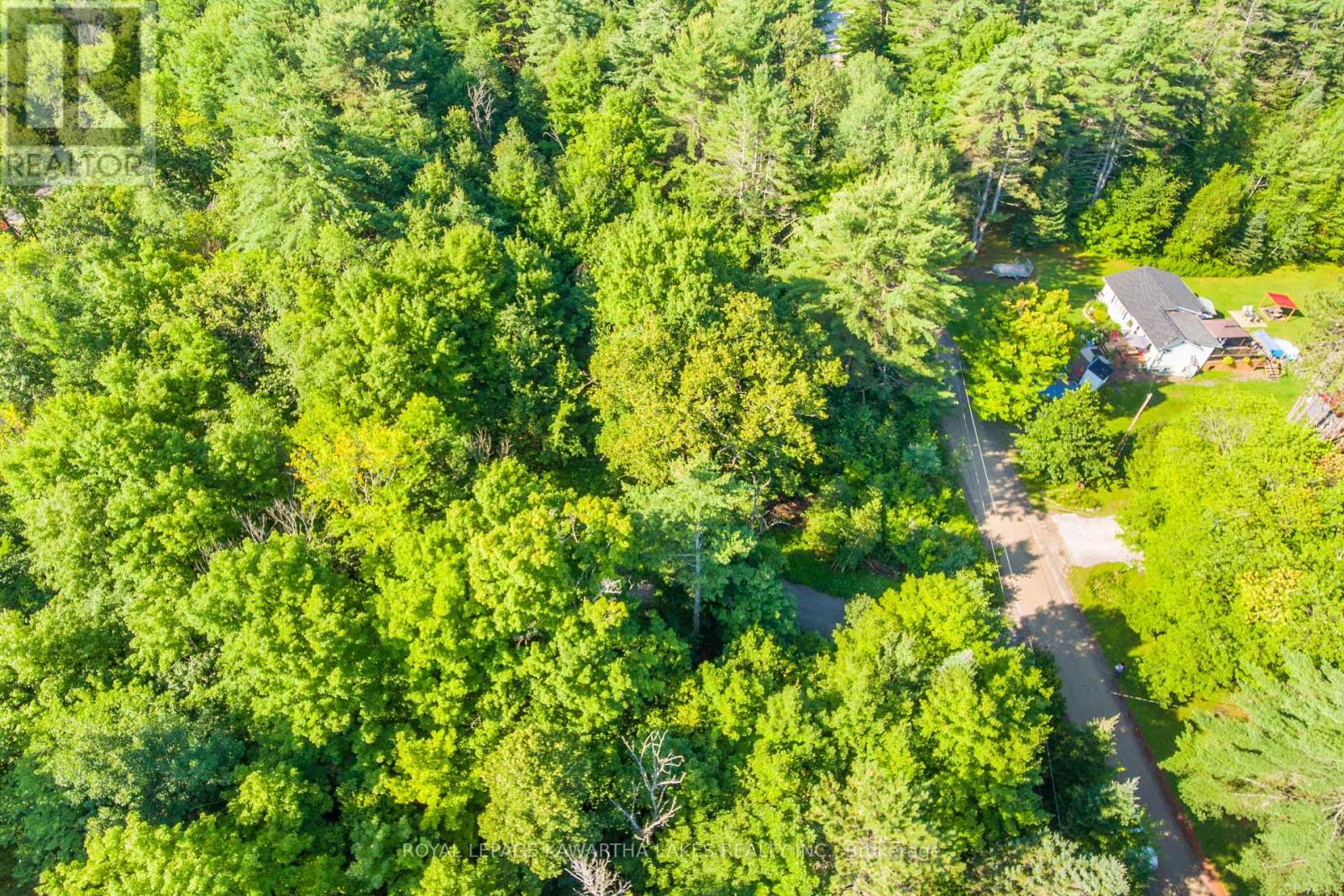 Lt 33 Benson Boulevard, Kawartha Lakes (Laxton/digby/longford), Ontario  K0M 1K0 - Photo 12 - X12752624