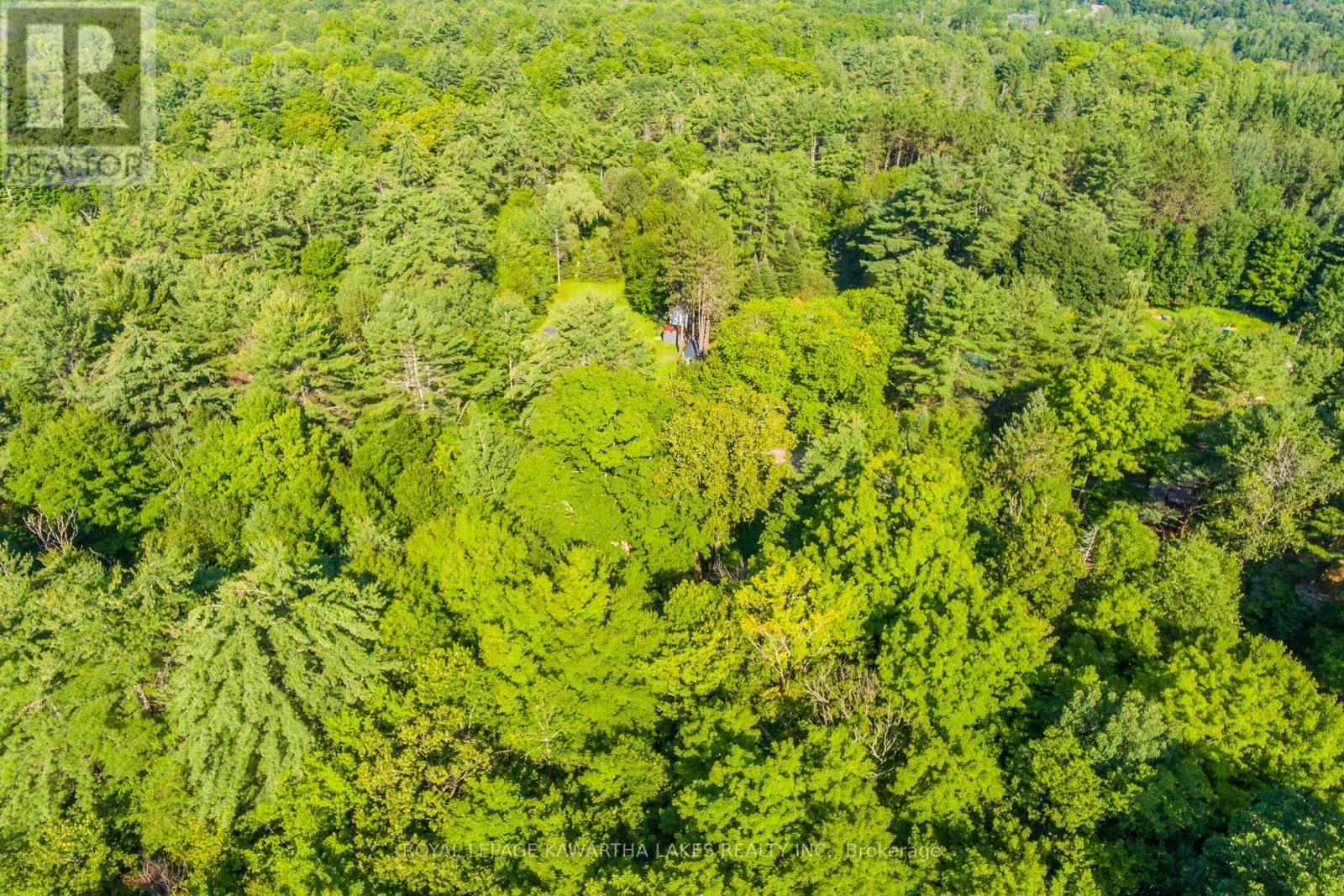 Lt 33 Benson Boulevard, Kawartha Lakes (Laxton/digby/longford), Ontario  K0M 1K0 - Photo 14 - X12752624