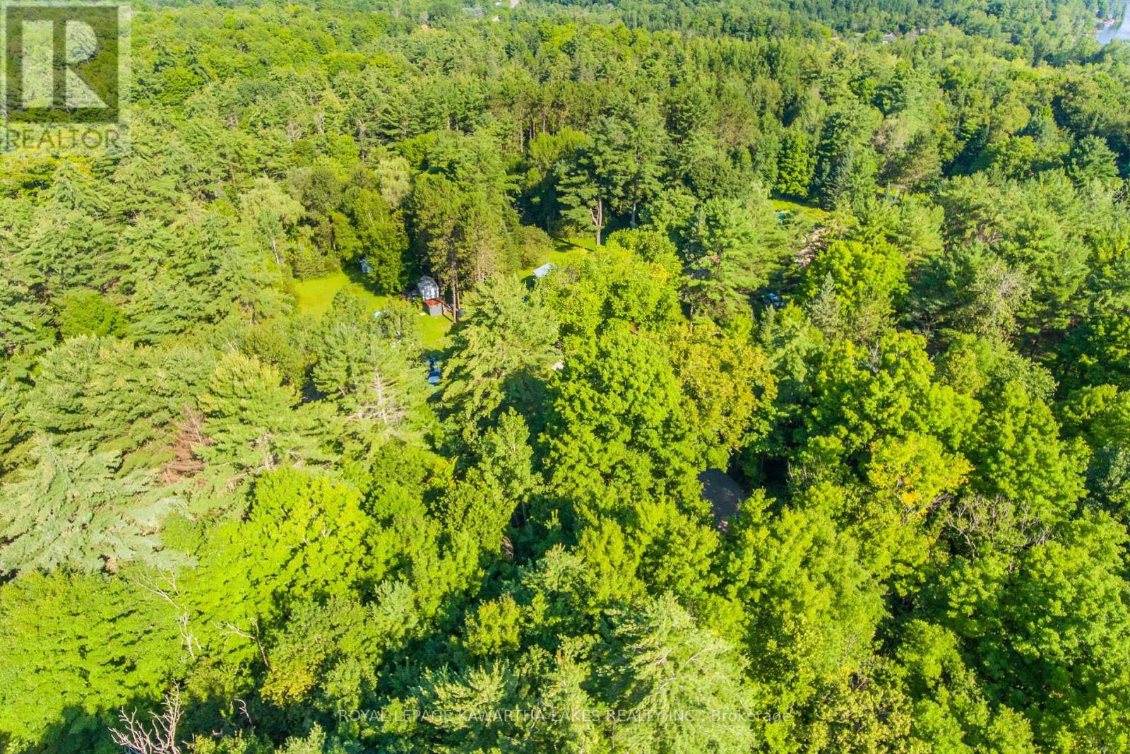 Lt 33 Benson Boulevard, Kawartha Lakes (Laxton/digby/longford), Ontario  K0M 1K0 - Photo 15 - X12752624