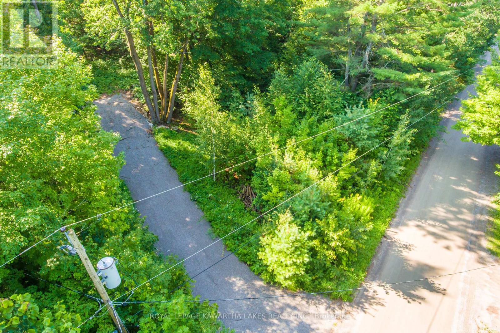 Lt 33 Benson Boulevard, Kawartha Lakes (Laxton/digby/longford), Ontario  K0M 1K0 - Photo 16 - X12752624