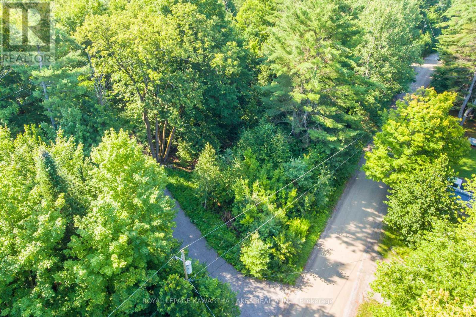 Lt 33 Benson Boulevard, Kawartha Lakes (Laxton/digby/longford), Ontario  K0M 1K0 - Photo 17 - X12752624