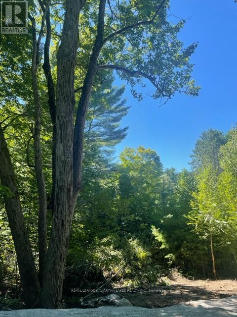 Lt 33 Benson Boulevard, Kawartha Lakes (Laxton/digby/longford), Ontario  K0M 1K0 - Photo 20 - X12752624