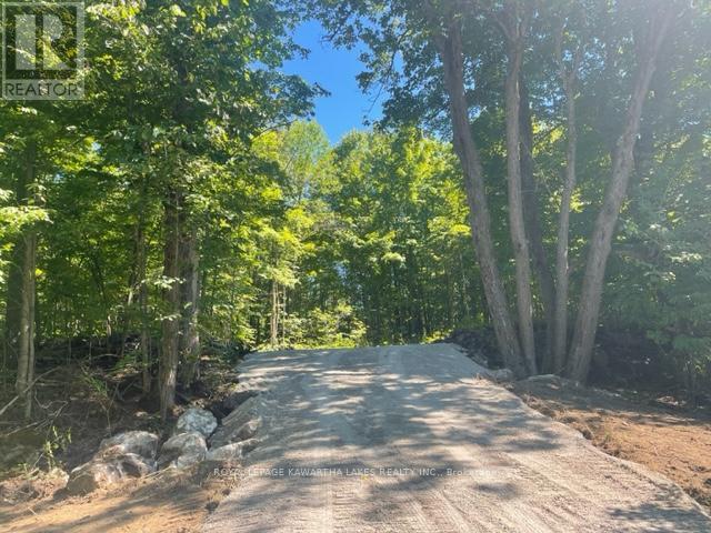 Lt 33 Benson Boulevard, Kawartha Lakes (Laxton/digby/longford), Ontario  K0M 1K0 - Photo 22 - X12752624