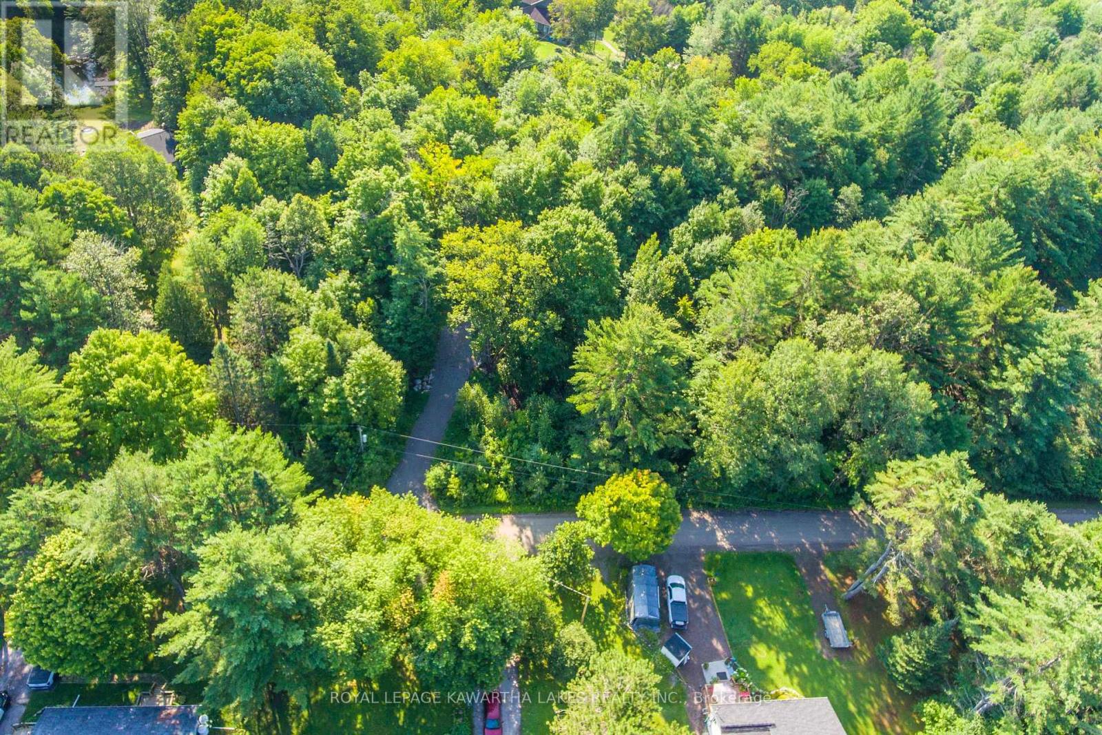 Lt 33 Benson Boulevard, Kawartha Lakes (Laxton/digby/longford), Ontario  K0M 1K0 - Photo 3 - X12752624