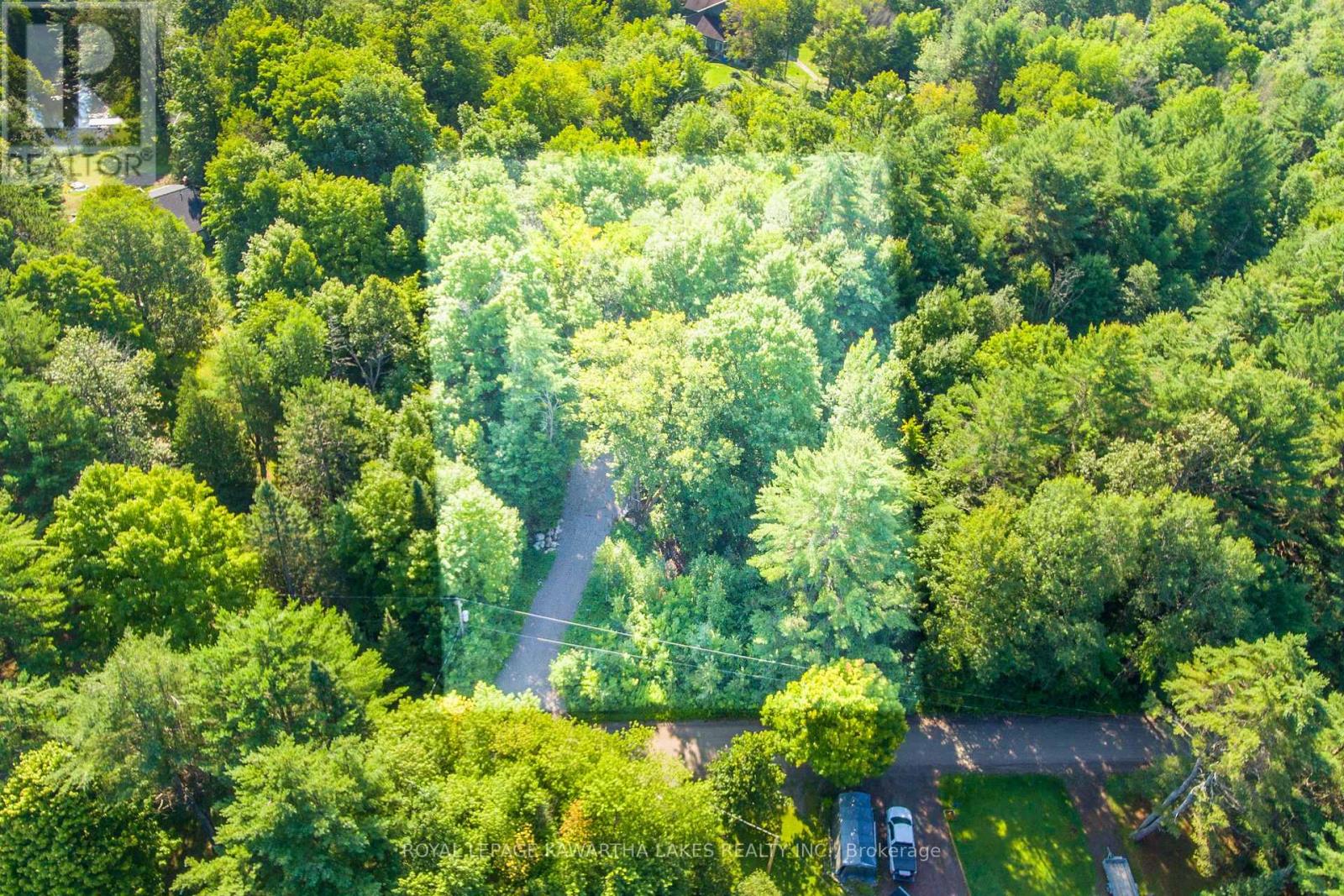 Lt 33 Benson Boulevard, Kawartha Lakes (Laxton/digby/longford), Ontario  K0M 1K0 - Photo 4 - X12752624