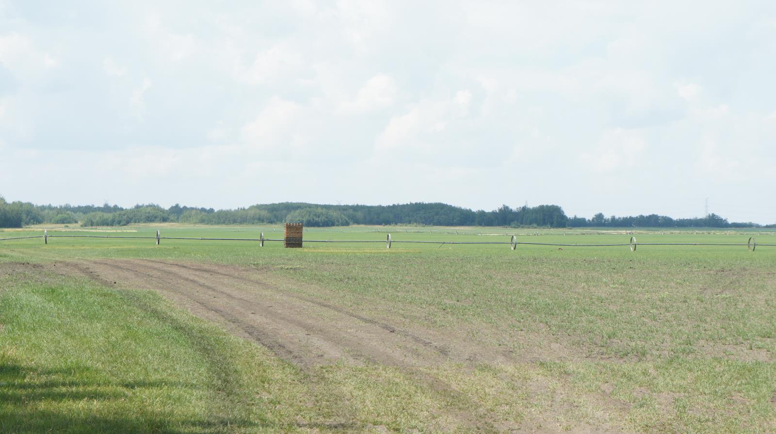 R Road 223, Sturgeon County, Alberta  T0A 1N1 - Photo 20 - 44142474