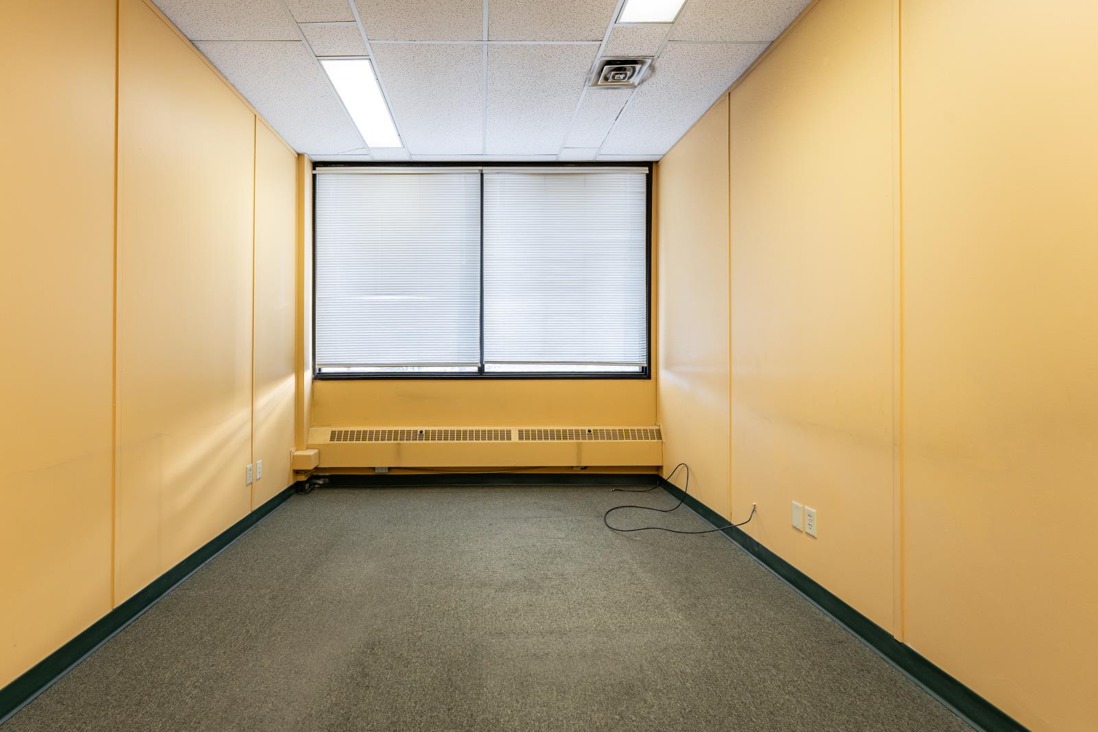 10441  124 Street, Edmonton, Alberta  T5N 1R7 - Photo 24 - 44178507