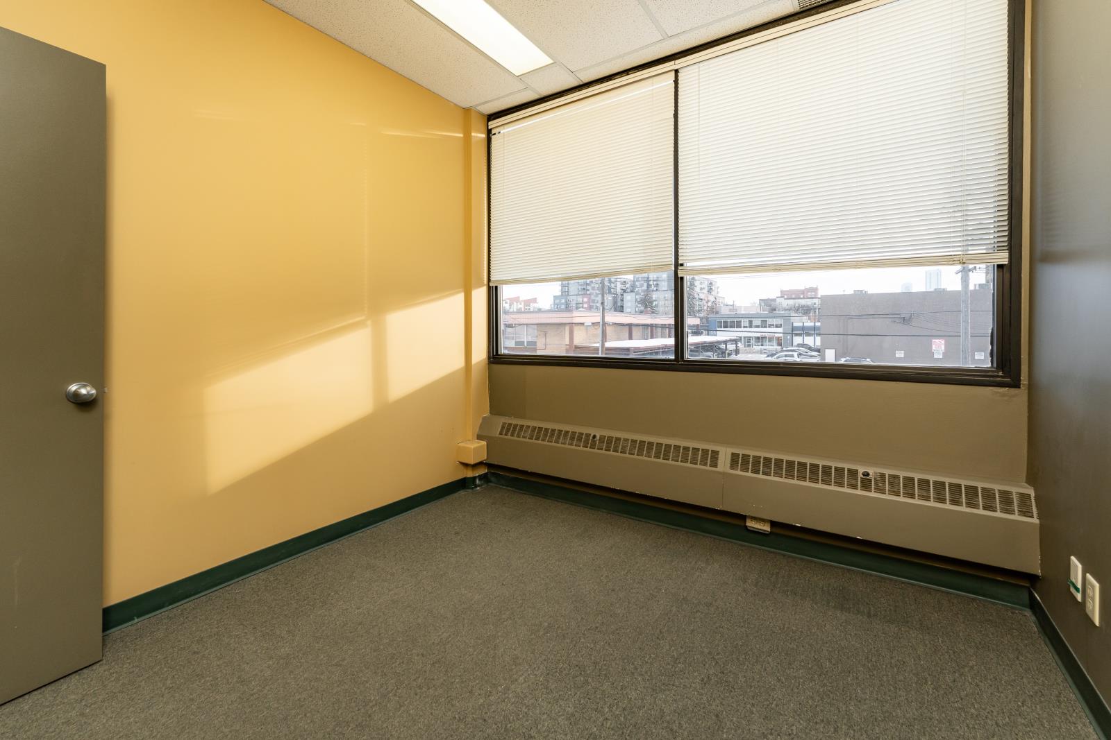 10441  124 Street, Edmonton, Alberta  T5N 1R7 - Photo 33 - 44178507