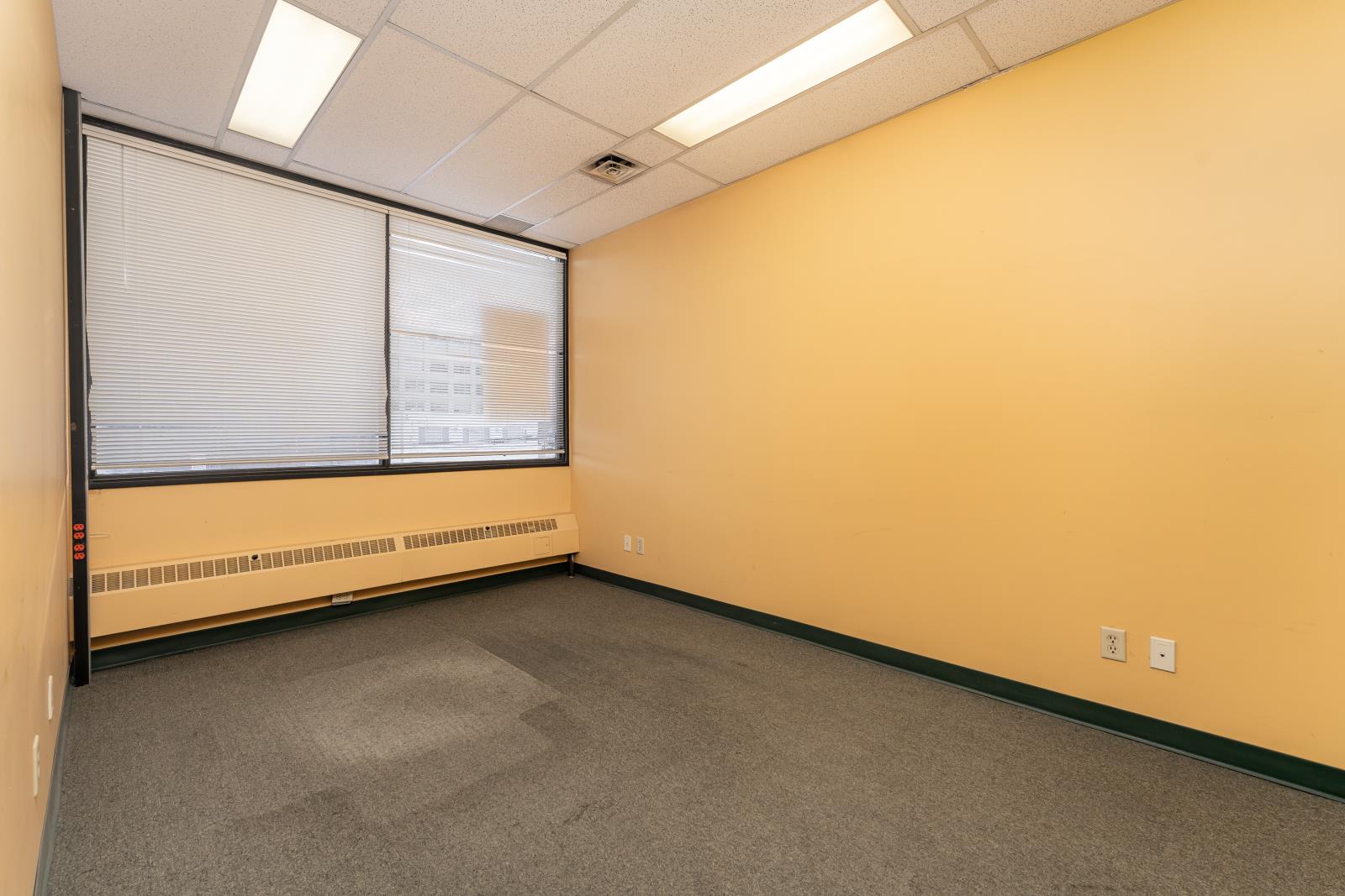 10441  124 Street, Edmonton, Alberta  T5N 1R7 - Photo 34 - 44178507