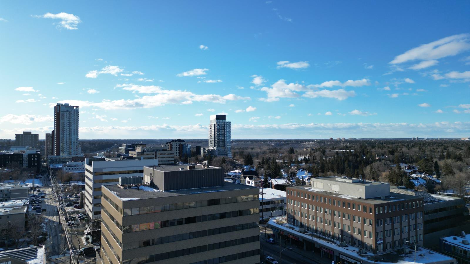 10441  124 Street, Edmonton, Alberta  T5N 1R7 - Photo 9 - 44178507