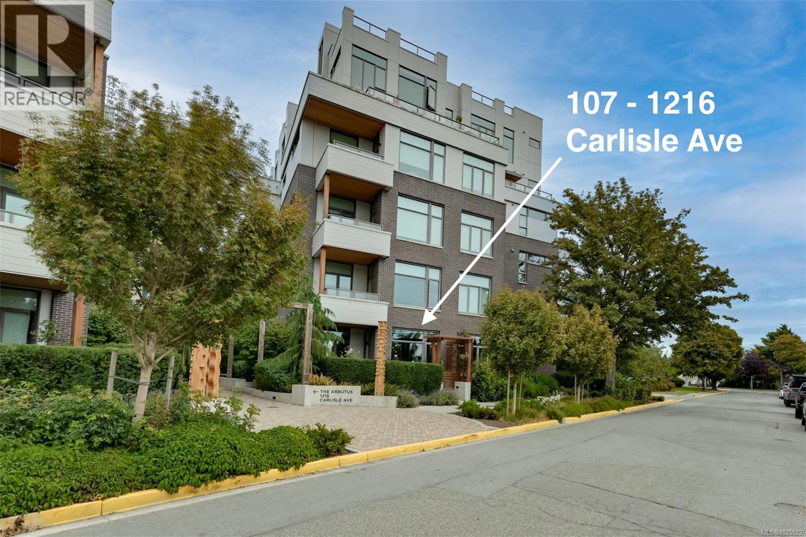 107 1216 Carlisle Ave, Esquimalt, British Columbia  V9A 0H5 - Photo 31 - 1025022