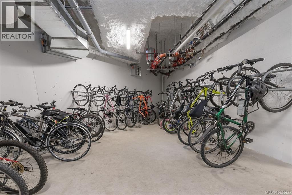 107 1216 Carlisle Ave, Esquimalt, British Columbia  V9A 0H5 - Photo 48 - 1025022