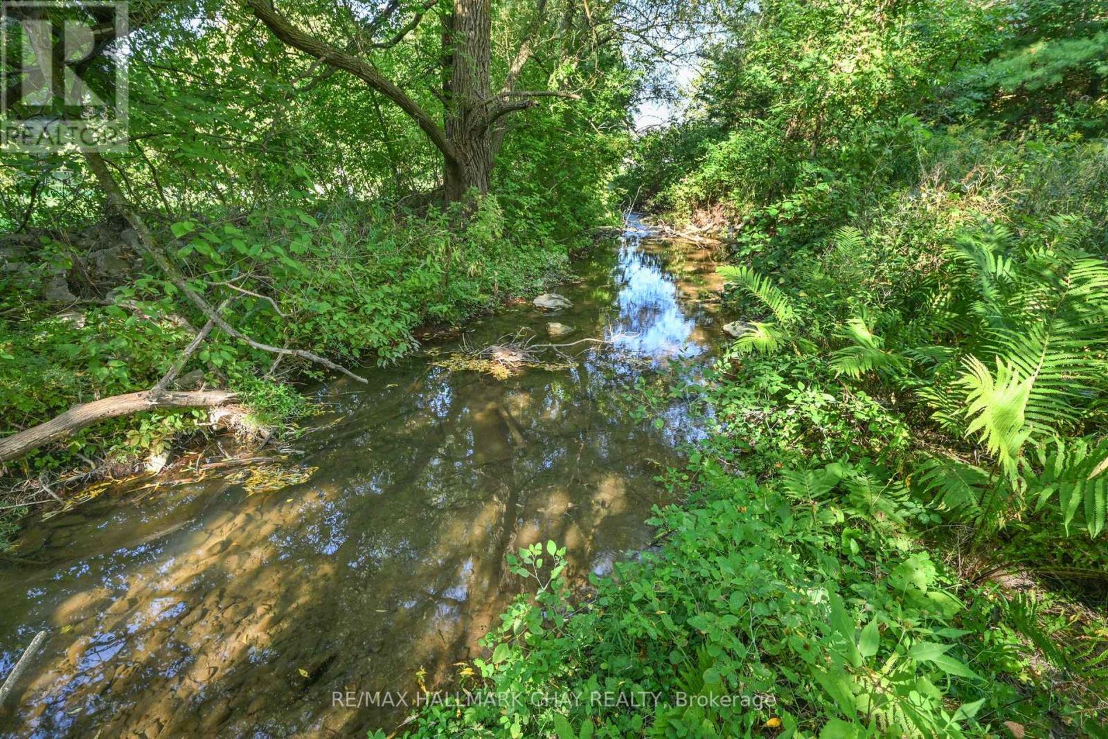 213 Dominion Drive, Clearview, Ontario  L0M 1S0 - Photo 8 - S12752436