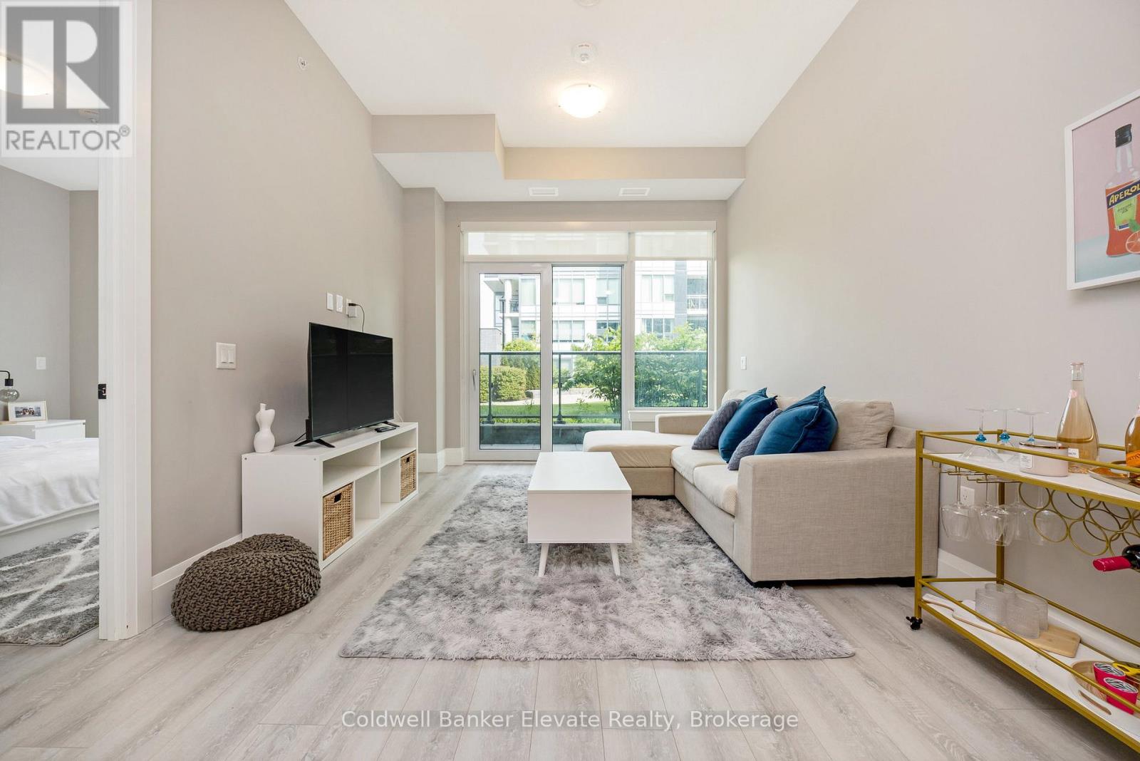 209 - 73 Arthur Street S, Guelph, Ontario  N1E 0S6 - Photo 15 - X12752438