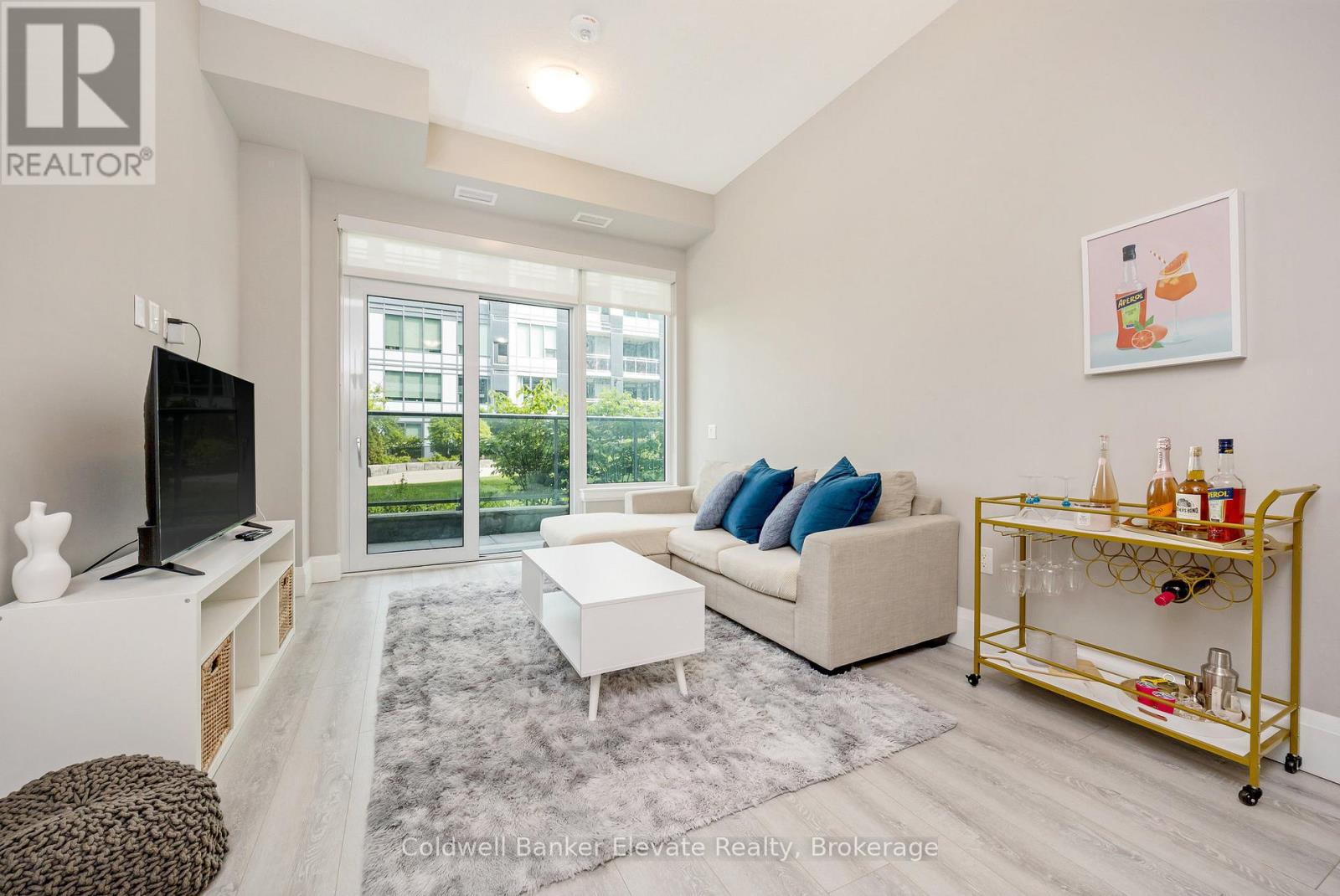 209 - 73 Arthur Street S, Guelph, Ontario  N1E 0S6 - Photo 16 - X12752438