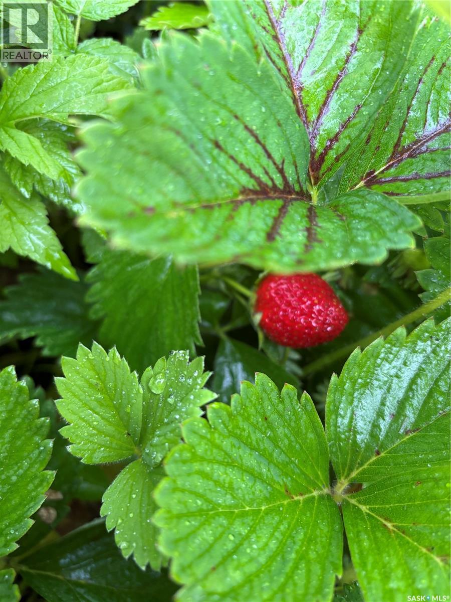 809 Weir Crescent, Warman, Saskatchewan  S0K 4S4 - Photo 31 - SK026913
