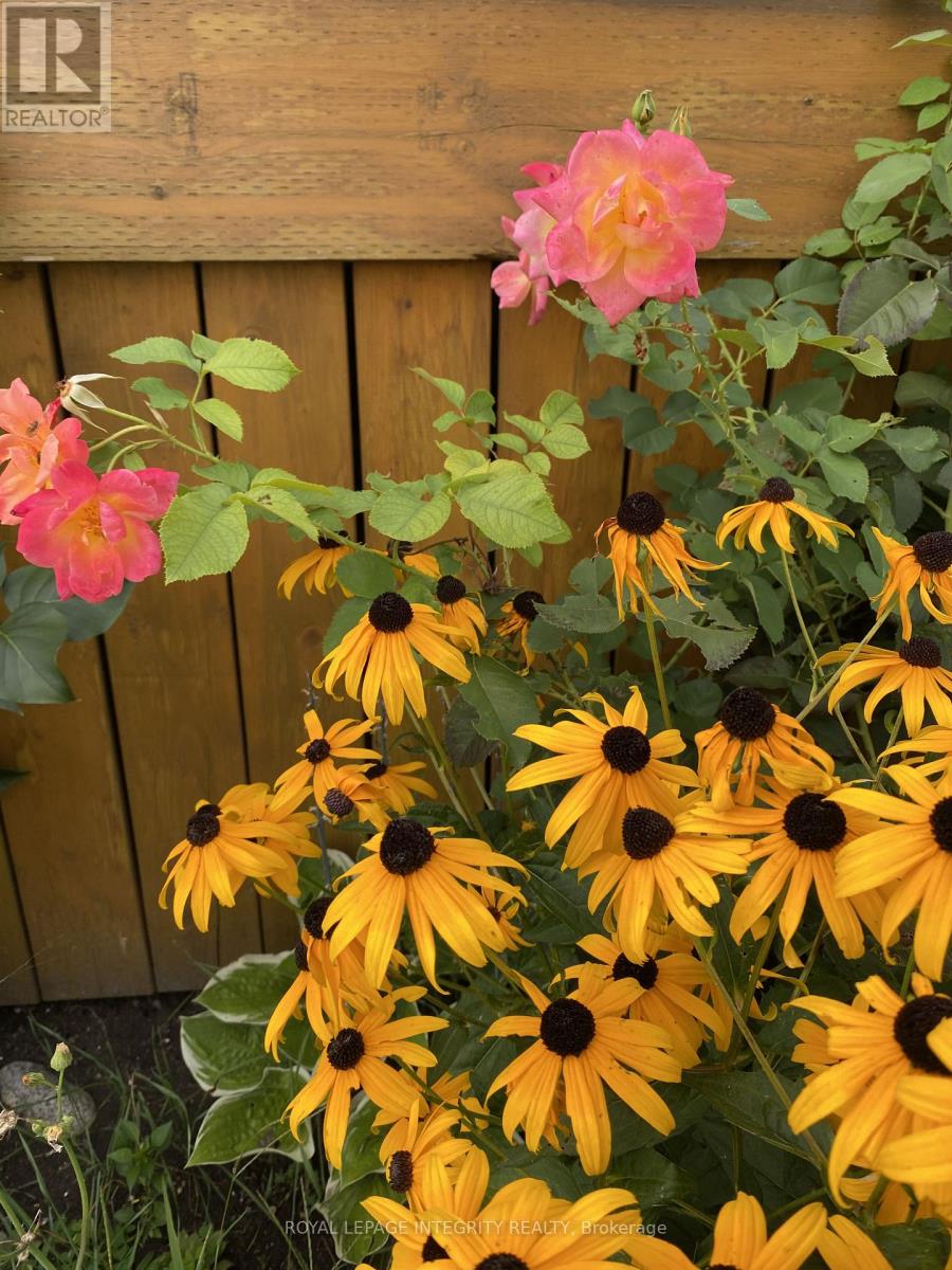 3264 Johnston Avenue, Cornwall, Ontario  K6K 1H3 - Photo 26 - X12752736