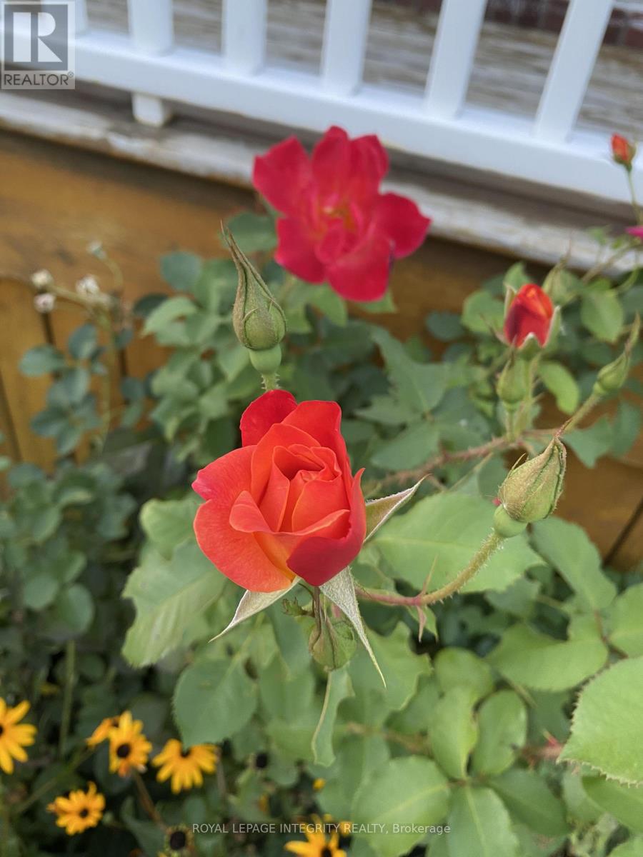 3264 Johnston Avenue, Cornwall, Ontario  K6K 1H3 - Photo 27 - X12752736