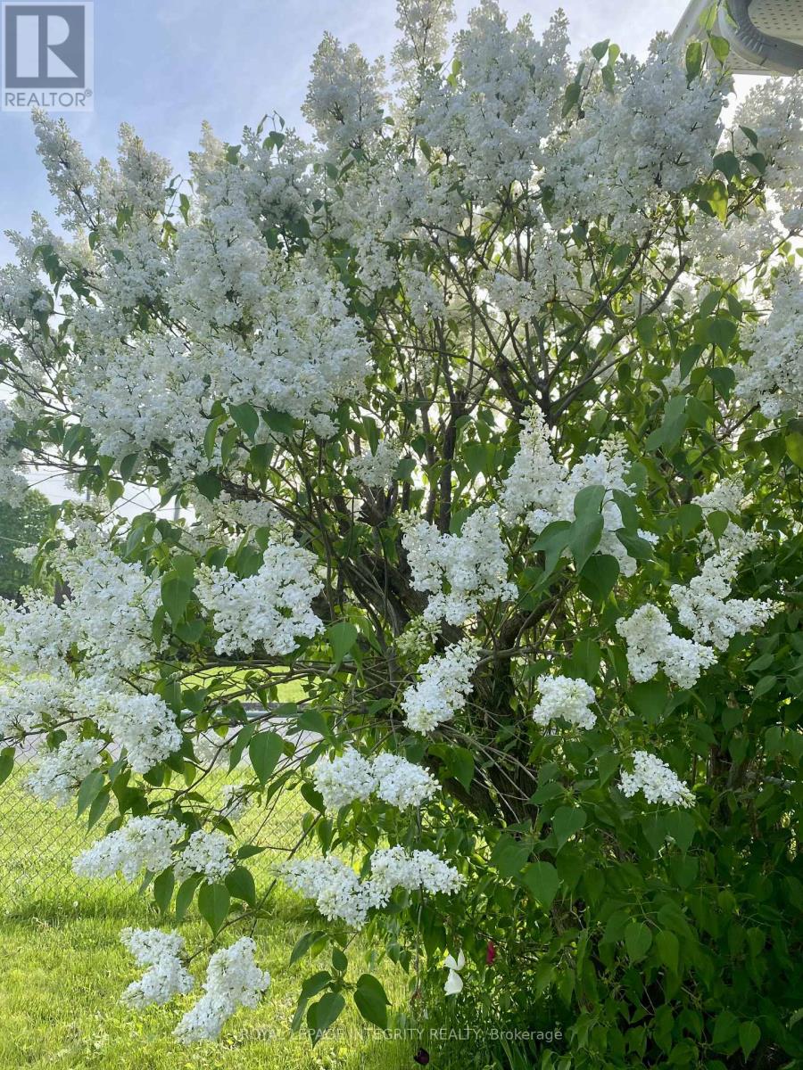 3264 Johnston Avenue, Cornwall, Ontario  K6K 1H3 - Photo 29 - X12752736